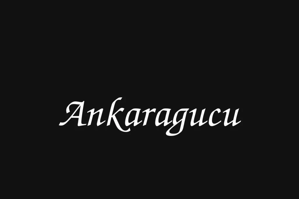 ankaragucu