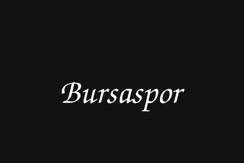 bursaspor