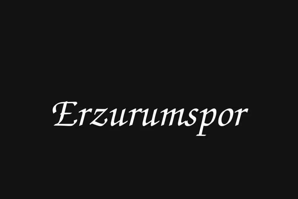 erzurumspor