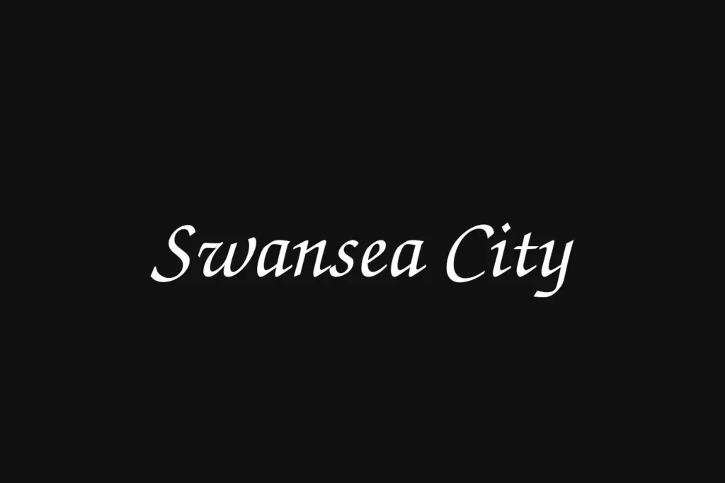 swansea-city